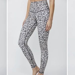 DYI Signature Tight Black/Brown leopard